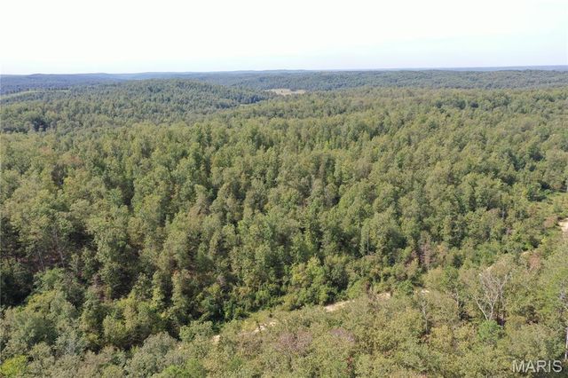 TBD County Road 636, Ellington, MO 63638