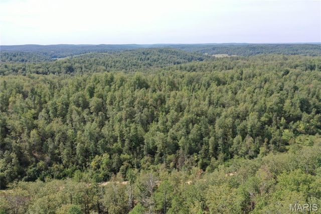 TBD County Road 636, Ellington, MO 63638