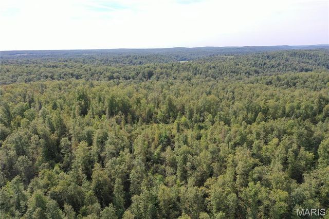 TBD County Road 636, Ellington, MO 63638