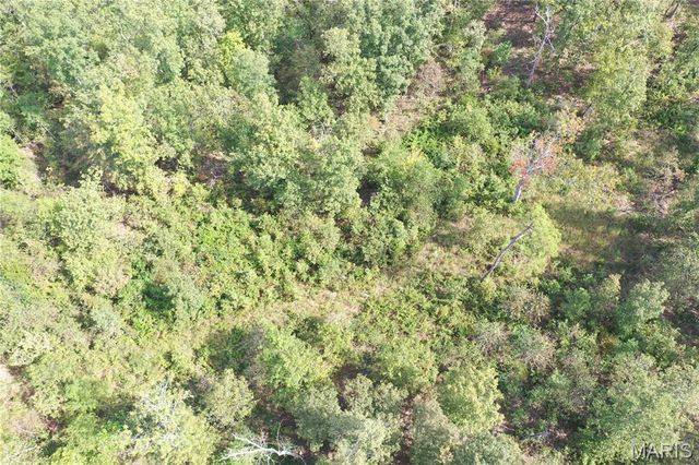 TBD County Road 636, Ellington, MO 63638