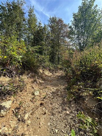 TBD County Road 636, Ellington, MO 63638