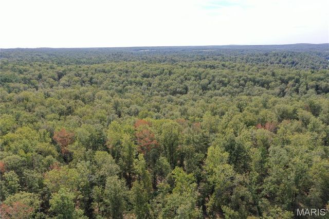 TBD County Road 636, Ellington, MO 63638