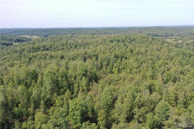 TBD County Road 636, Ellington, MO 63638