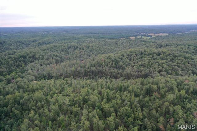 TBD County Road 636, Ellington, MO 63638