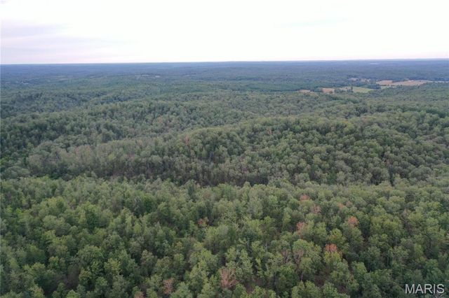 TBD County Road 636, Ellington, MO 63638