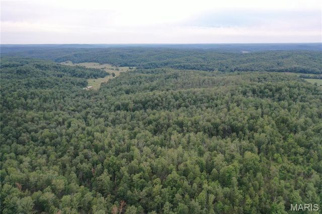 TBD County Road 636, Ellington, MO 63638