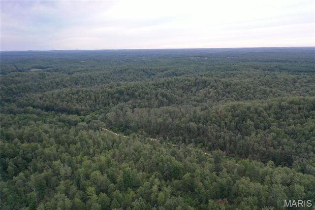 TBD County Road 636, Ellington, MO 63638