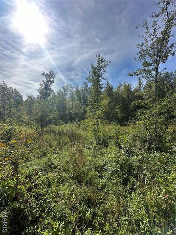 TBD County Road 636, Ellington, MO 63638