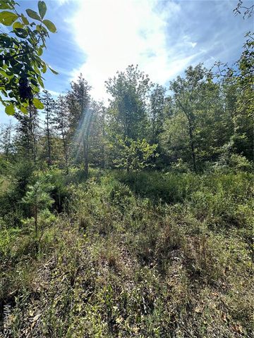 TBD County Road 636, Ellington, MO 63638