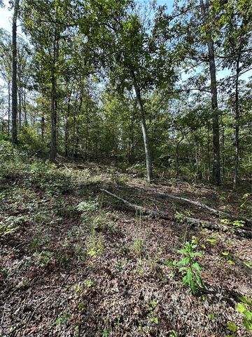 TBD County Road 636, Ellington, MO 63638