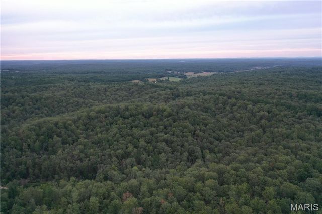 TBD County Road 636, Ellington, MO 63638