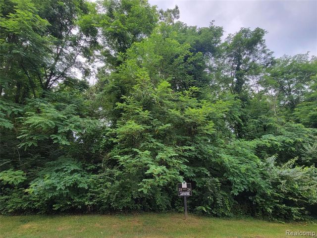 Lot 25 - Rexford Court, Brighton, MI 48116