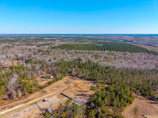 V/L Calamus Pond Road, Summerville, SC 29486