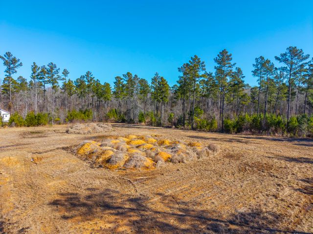 V/L Calamus Pond Road, Summerville, SC 29486