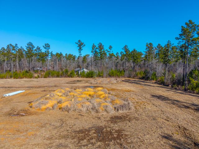 V/L Calamus Pond Road, Summerville, SC 29486