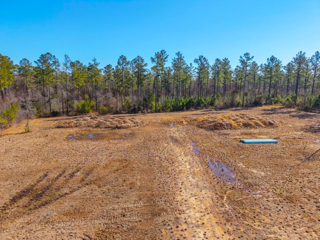 V/L Calamus Pond Road, Summerville, SC 29486