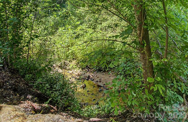 11 Waddell Street, Weaverville, NC 28787