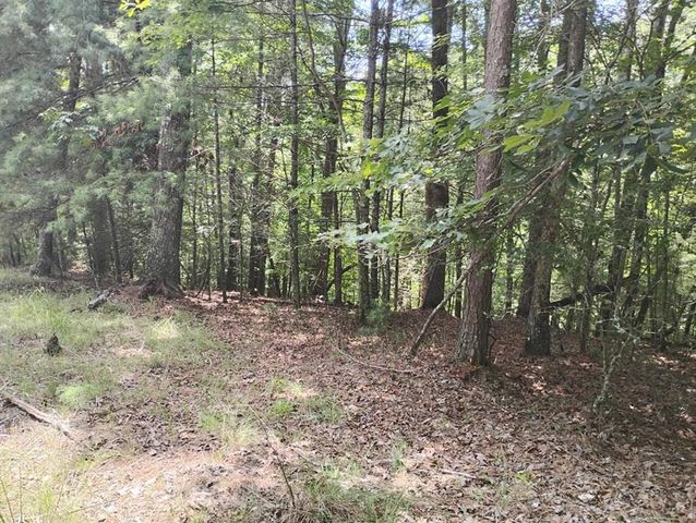 0 Crystal Lane, Ellijay, GA 30540