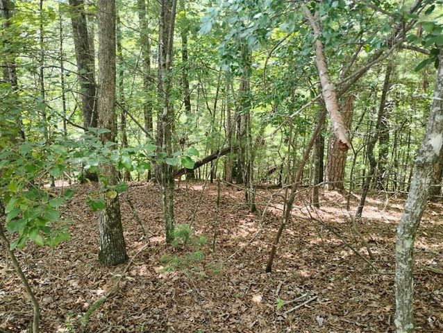 0 Crystal Lane, Ellijay, GA 30540