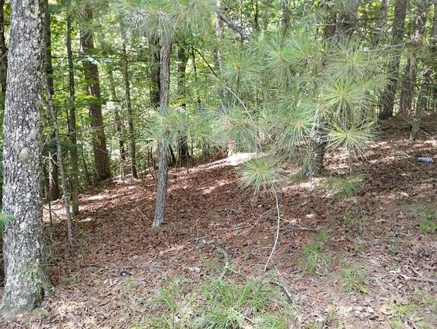 0 Crystal Lane, Ellijay, GA 30540