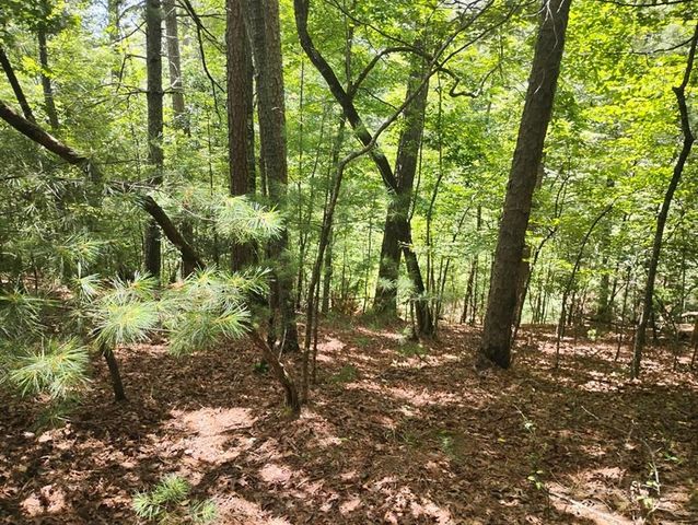 0 Crystal Lane, Ellijay, GA 30540
