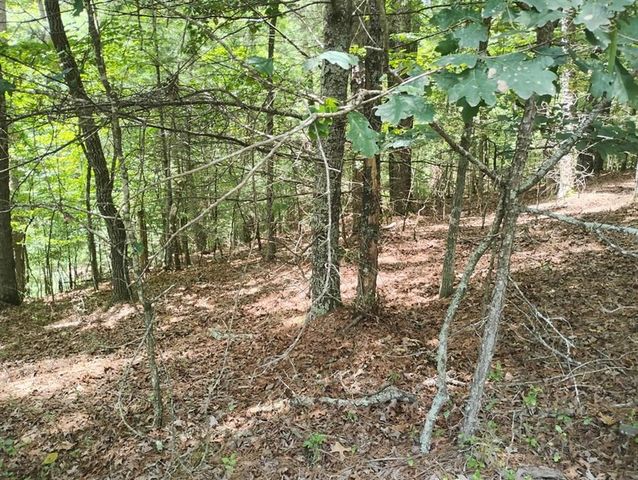 0 Crystal Lane, Ellijay, GA 30540