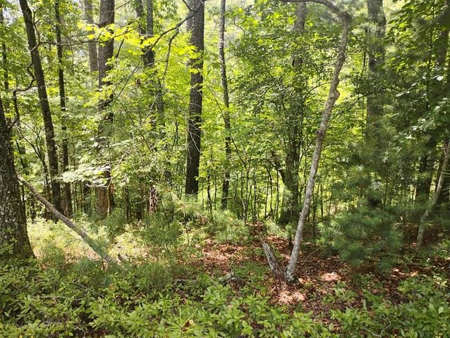 0 Crystal Lane, Ellijay, GA 30540