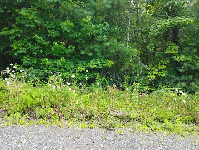 0 Crystal Lane, Ellijay, GA 30540