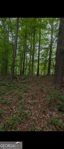3467 Monica Lane SW, Conyers, GA 30094