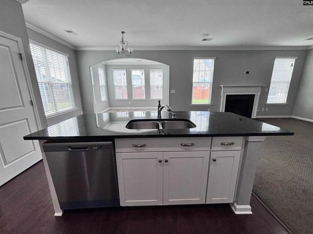 226 Sallie Gordon Lane, Elgin, SC 29045