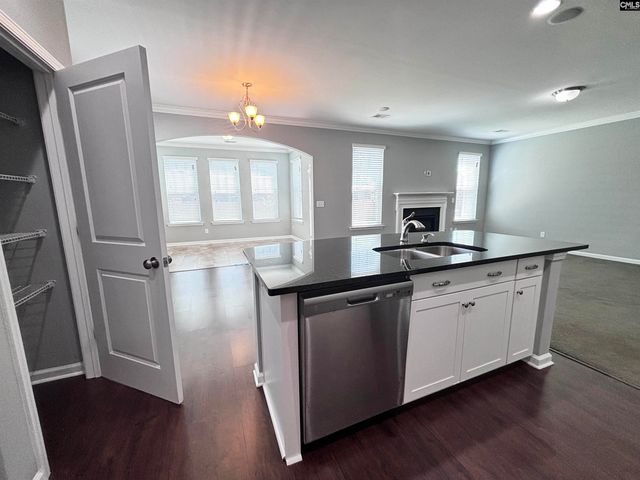 226 Sallie Gordon Lane, Elgin, SC 29045