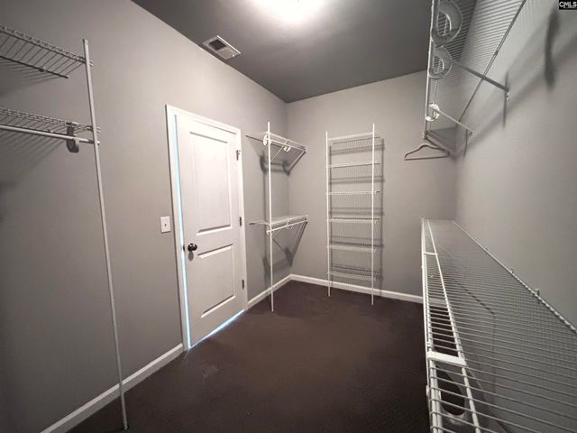 226 Sallie Gordon Lane, Elgin, SC 29045