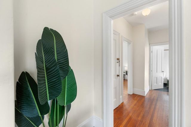 26 Linnaean St 3, Cambridge, MA 02138