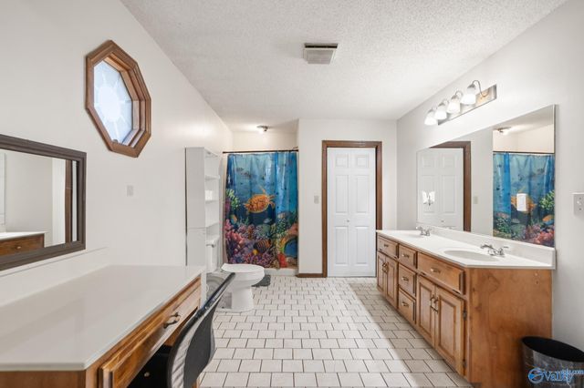 26389 Johnson Lane, Toney, AL 35773