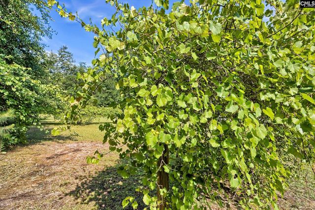 150 Timmerman Road, Swansea, SC 29160