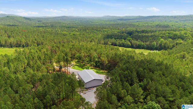 2575 SAINT CLAIR ROAD, Springville, AL 35146