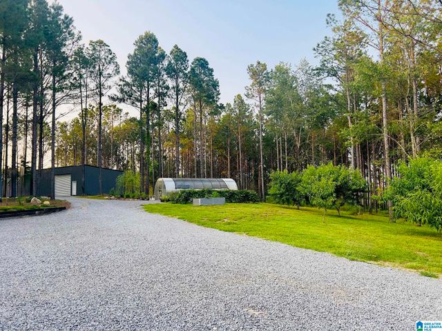 2575 SAINT CLAIR ROAD, Springville, AL 35146