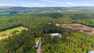 2575 SAINT CLAIR ROAD, Springville, AL 35146