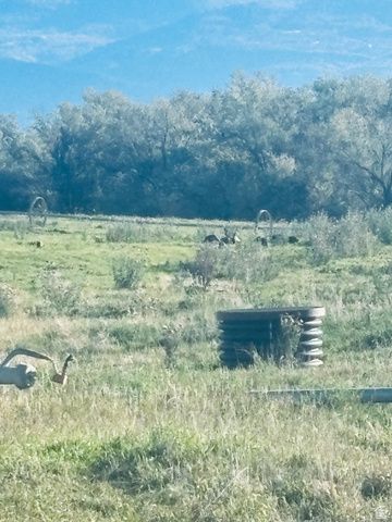 3611 W HWY 116, Mt Pleasant, UT 84647