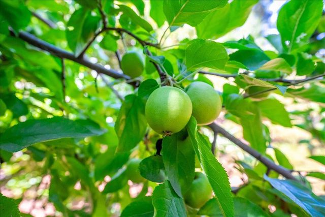 1764 Country Club Dr, Placerville, CA 95667