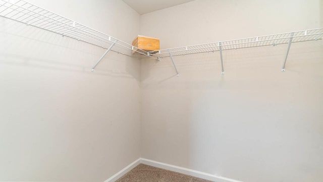 601 Perch Lane, Santee, SC 29142