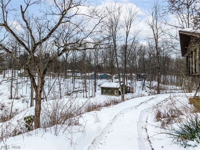 4568 Nettleton Road, Medina, OH 44256