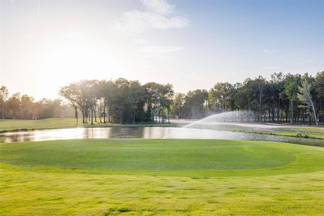 22322 Junction Peak Drive, Porter Heights, TX 77365