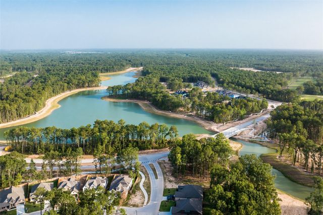 22322 Junction Peak Drive, Porter Heights, TX 77365