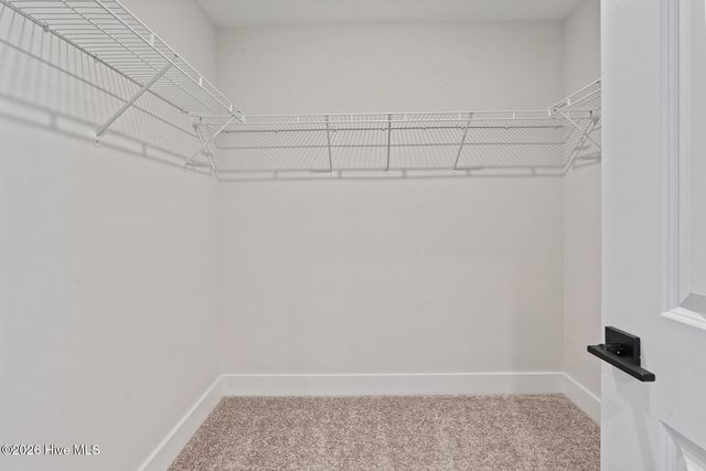 156 S Umbrella Palm Drive, Hampstead, NC 28443