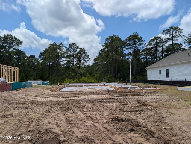 156 S Umbrella Palm Drive, Hampstead, NC 28443
