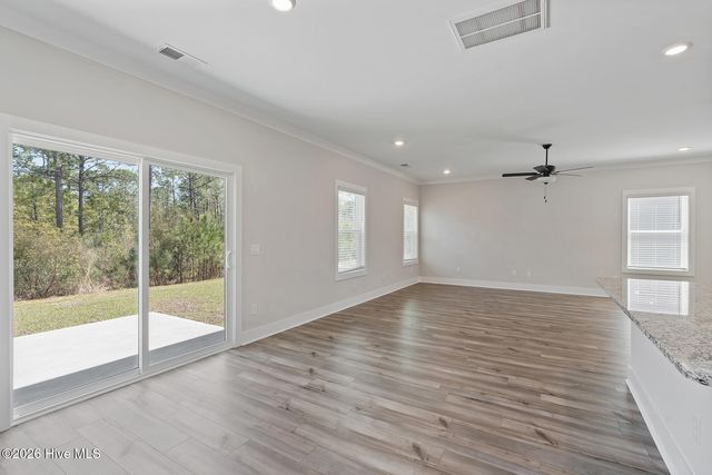 156 S Umbrella Palm Drive, Hampstead, NC 28443