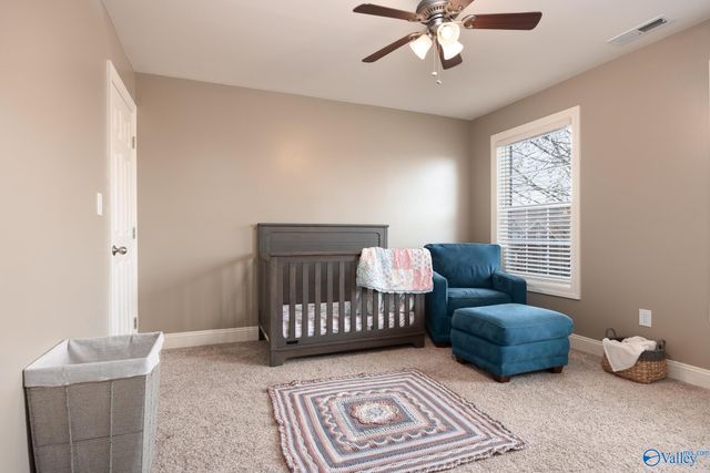 328 Old Overton Drive, Madison, AL 35756