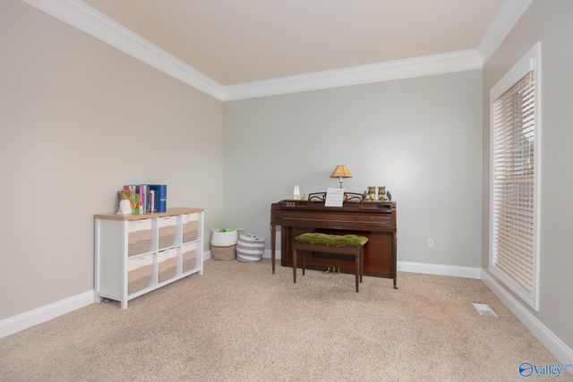 328 Old Overton Drive, Madison, AL 35756