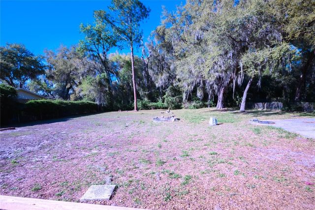 1198 CR 464, Lake Panasoffkee, FL 33538